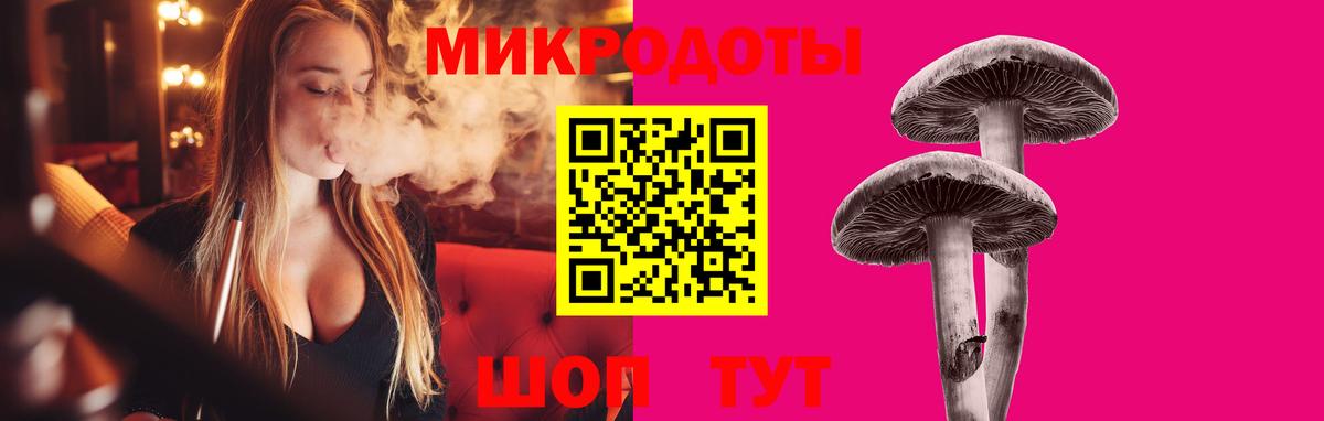 Галлюциногенные грибы Psilocybe Саяногорск