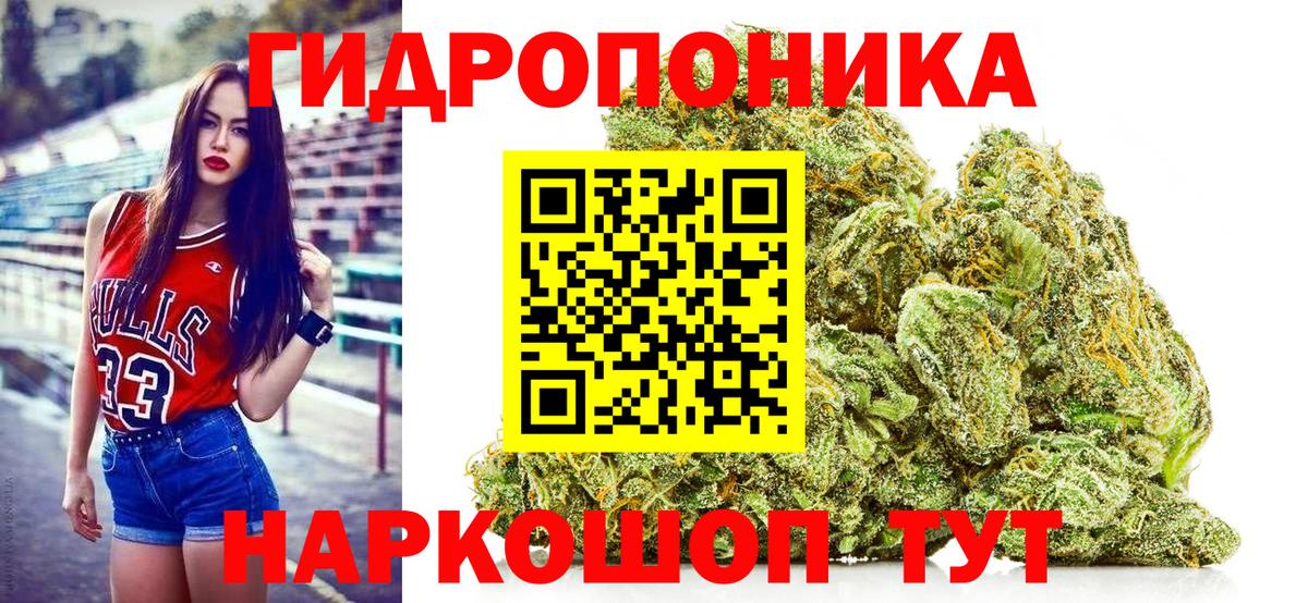 Конопля планчик Саяногорск